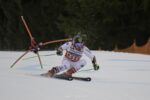 Marcel Hirscher